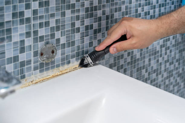 Best Black Mold Remediation in Mount Sinai, NY
